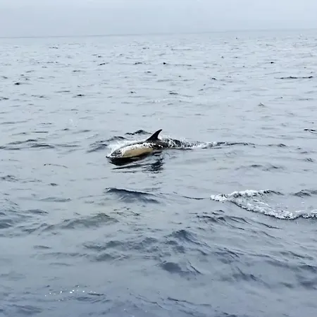 Casa Papillon Sagres