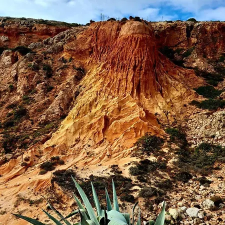 Casa Papillon דירה *